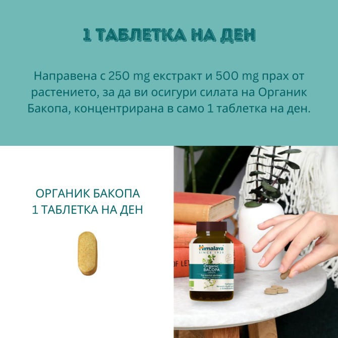 Органик Бакопа, 60 таблетки (ДВУМЕСЕЧЕН прием), Himalaya Wellness