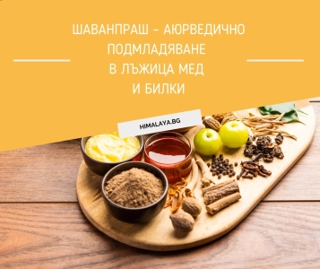? Chyawanprash – Ayurvedic Rejuvenation in a Spoonful of Honey and Herbs