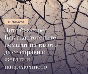 Лято без стрес: Как адаптогените помагат на тялото да се справи с жегата и напрежението