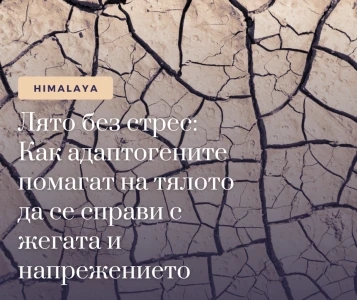 Лято без стрес: Как адаптогените помагат на тялото да се справи с жегата и напрежението