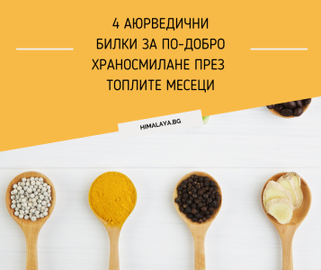 4 аюрведични билки за по-добро храносмилане през топлите месеци