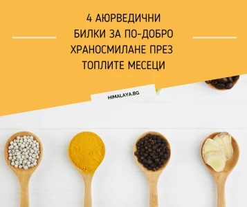 4 аюрведични билки за по-добро храносмилане през топлите месеци