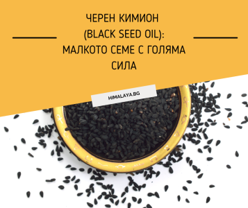 Черен кимион (Black Seed Oil): Малкото семе с голяма сила