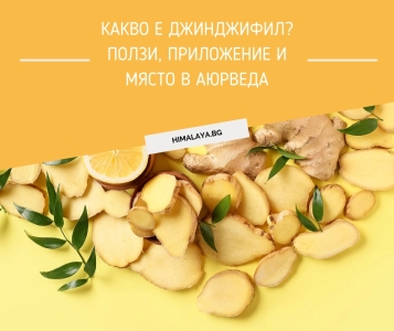 What Is Ginger? Benefits, Uses and Its Role in Ayurveda