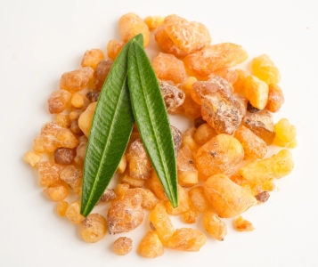 Босвелия (Boswellia Serrata) — природният съюзник срещу болка и възпаления