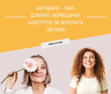 Shatavari – The Best Ayurvedic Adaptogen for the Female System