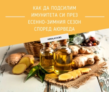 🍂 How to Strengthen Your Immunity in the Autumn–Winter Season According to Ayurveda