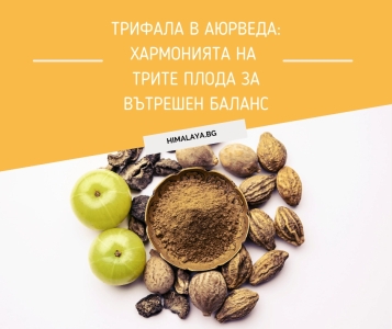 Трифала в Аюрведа: хармонията на трите плода за вътрешен баланс