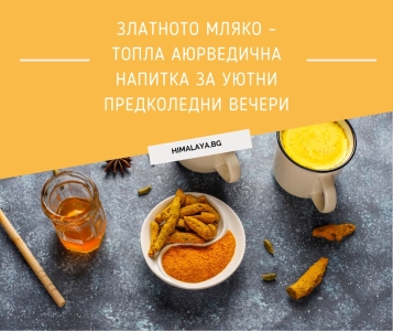 Golden Milk – Ayurvedic Pre-Christmas Drink for Cozy Winter Evenings