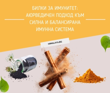 Herbs for Immunity: An Ayurvedic Approach to a Strong and Balanced Immune System