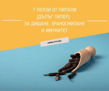 7 ползи от Пипали (дълъг пипер): за дишане, храносмилане и имунитет
