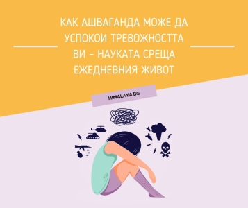 Как Ашваганда може да успокои тревожността ви – науката среща ежедневния живот