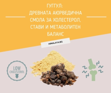 Гуггул: древната аюрведична смола за холестерол, стави и метаболитен баланс
