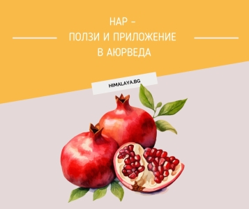 Нар – ползи и приложение в Аюрведа