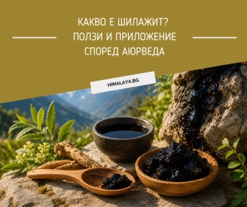 What Is Shilajit? Benefits and Uses in Ayurveda