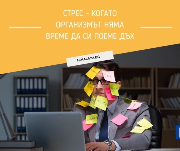 Стрес – когато организмът няма време да си поеме дъх