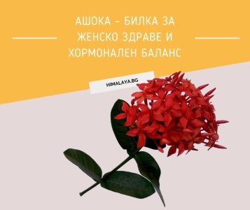Ашока (Saraca asoca) – билка за женско здраве и хормонален баланс