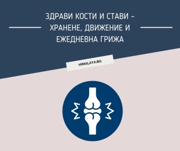 Здрави кости и стави – хранене, движение и ежедневна грижа