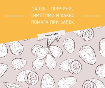 Запек – причини, симптоми и какво помага при запек