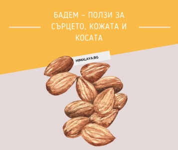 Бадем (Prunus amygdalus) – ползи за сърцето, кожата и косата
