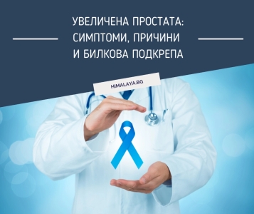 Увеличена простата – симптоми, причини и билкова подкрепа