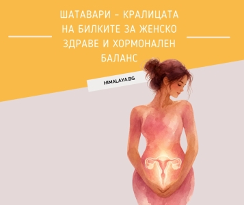 Шатавари – Кралицата на билките за женско здраве и хормонален баланс