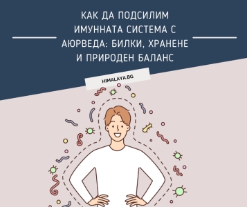 How to Support the Immune System with Ayurveda & Herbs