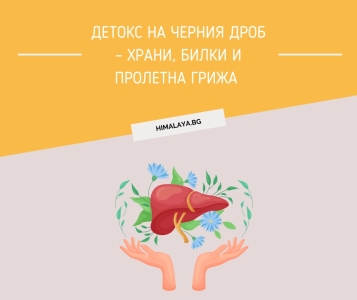 Детокс на черния дроб – храни, билки и пролетна грижа 