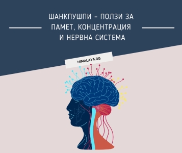 Шанкпушпи (Shankhpushpi) – аюрведична билка за памет, концентрация и спокоен ум