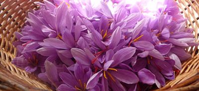 Saffron