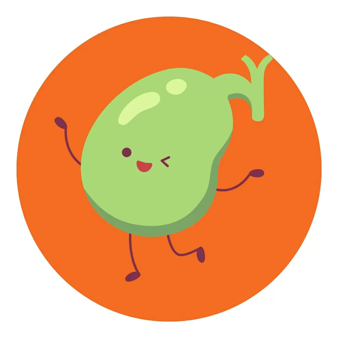 Gallbladder