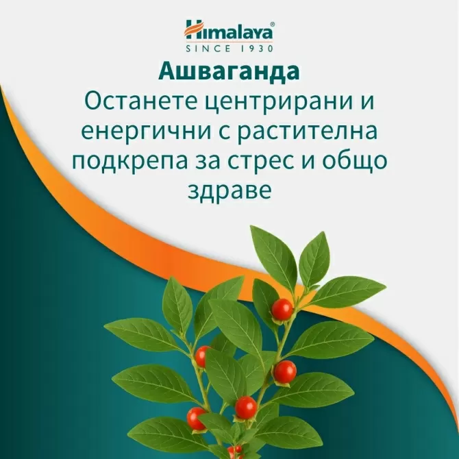 Ашваганда Уелнес (против стрес), 60 таблетки, Himalaya Wellness