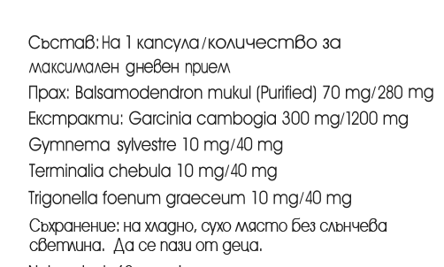 Ayurslim, Himalaya Wellness, 60 caps
