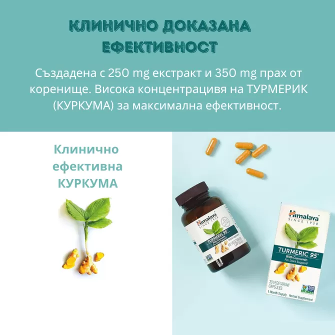 Турмерик 95 (Куркума), 60 вегетариански капсули (ДВУМЕСЕЧЕН прием), Himalaya Wellness
