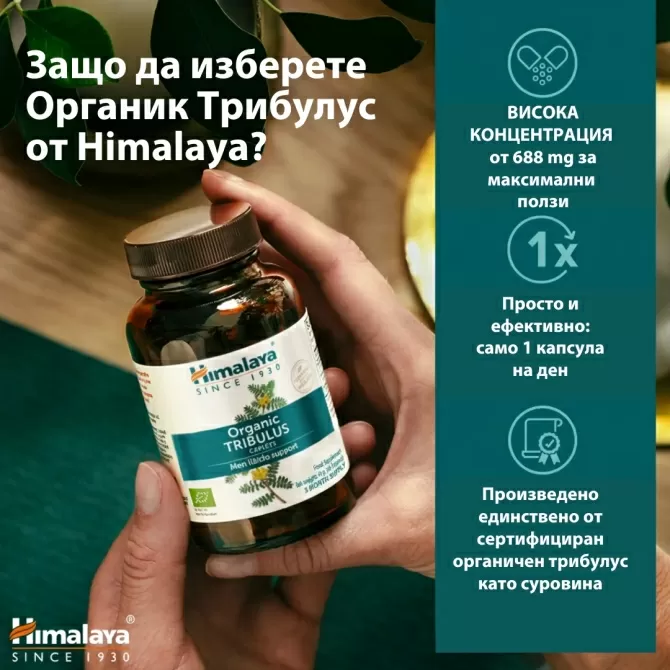 ОРГАНИК Трибулус (Бабини зъби),  60 табл х 688 mg, (ДВУМЕСЕЧЕН прием), Himalaya Wellness