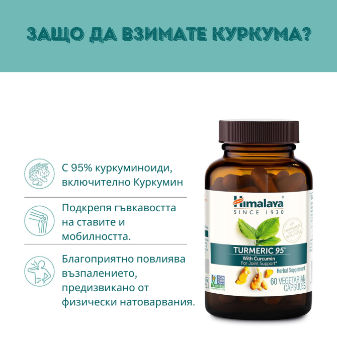 Turmeric 95, 60 tablets (2 month supply), Himalaya Wellness