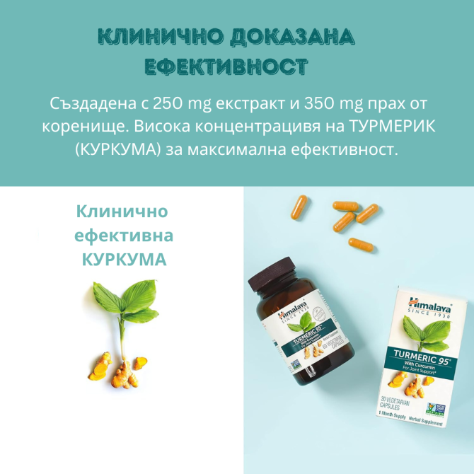 Турмерик 95, 60 вегетариански капсули (двумесечен прием), Himalaya Wellness