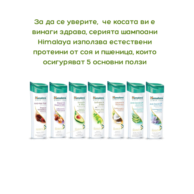 Anti-Dandruff Shampoo - Soothing & Moisturizing 200 ml