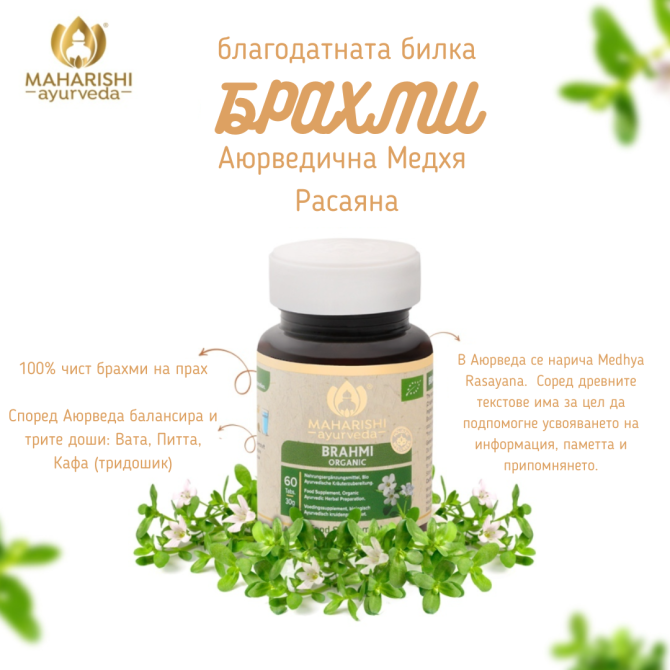 Brahmi (Bacopa Monnieri), 100% natural, Maharishi Ayurveda, 60 tabs