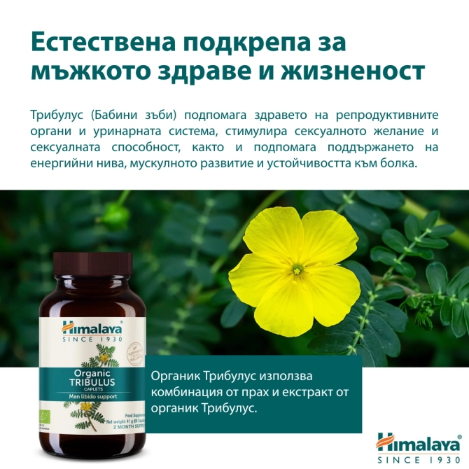 Organic Tribulus, 2 month supply, 60 tabl x 688 mg, Himalaya Wellness