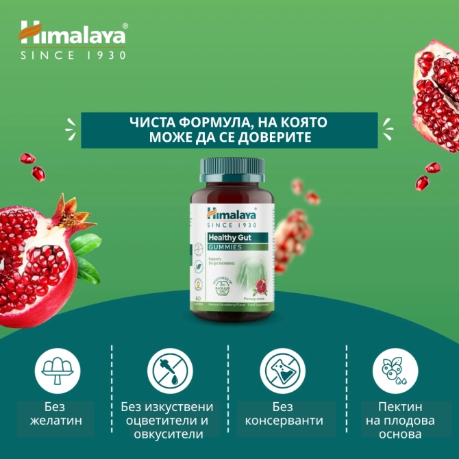 Healthy Gut, 60 Gummies, Himalaya Wellness