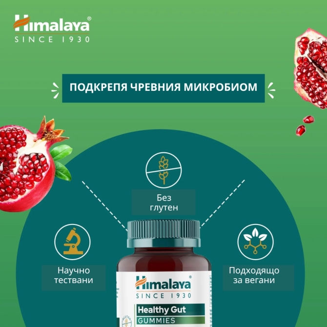 Healthy Gut, 60 Gummies, Himalaya Wellness