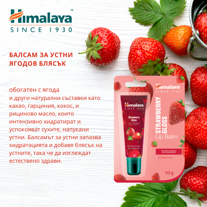 Балсам за устни Ягодов блясък, с АПЛИКАТОР, Himalaya Wellness, 10 g
