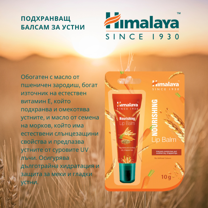 Подхранващ балсам за устни с АПЛИКАТОР, Himalaya Wellness, 10 g