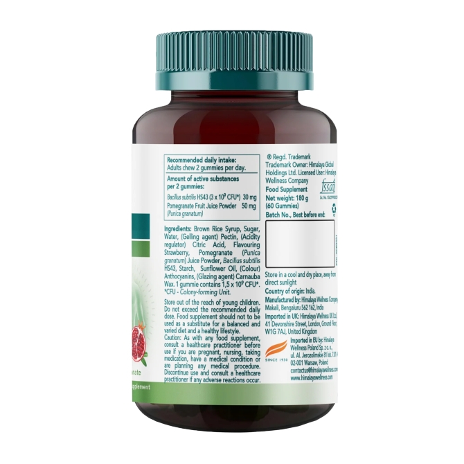 Healthy Gut, 60 Gummies, Himalaya Wellness