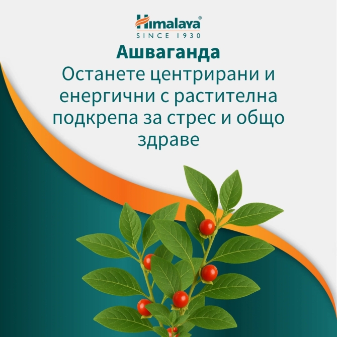 Stress Wellness Ashvagandha, 60 tabs, Himalaya Wellness