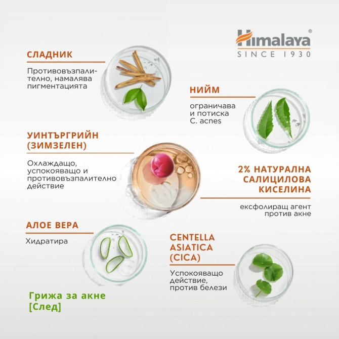 Acne Clear + Серум за премахване на белези, Himalaya Wellness, 30 ml