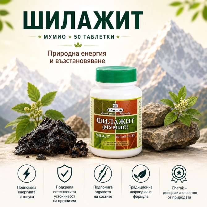 Шилажит Мумио - Подсилва организма, 50 табл., Charak Pharma