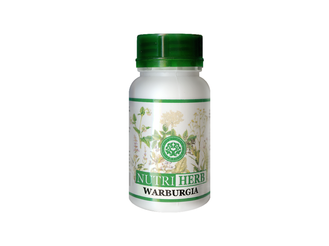 Warburgia, Health from the East, 60 caps